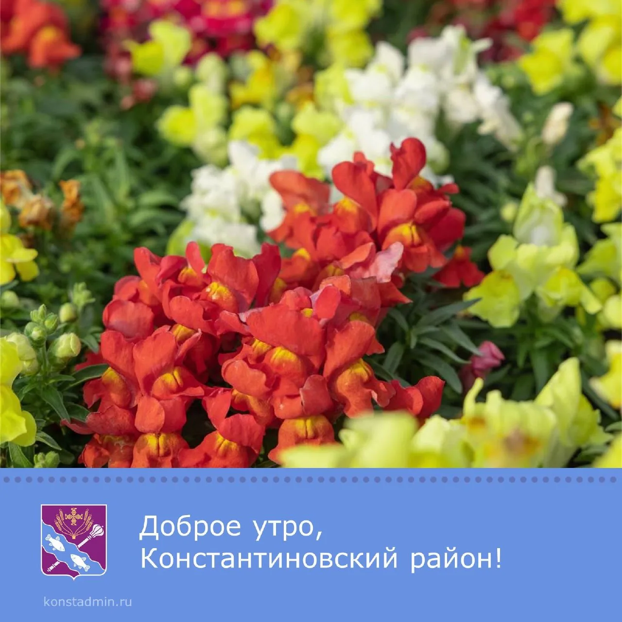 Доброе утро, уважаемые жители Константиновского района!