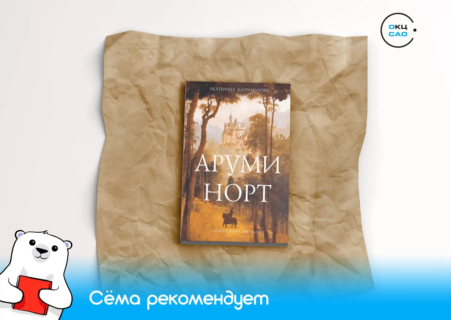 Книга дня: «Аруми Норт» 📚