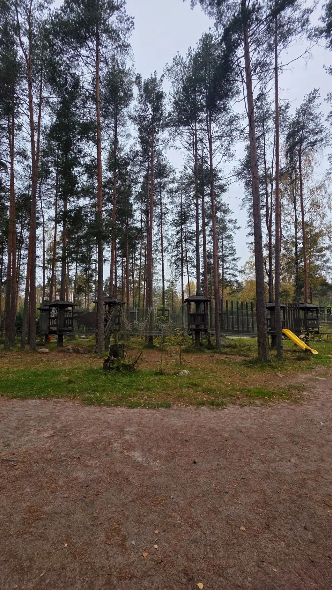 🧗‍♂️  Больше всего на базе нам понравился веревочный парк!