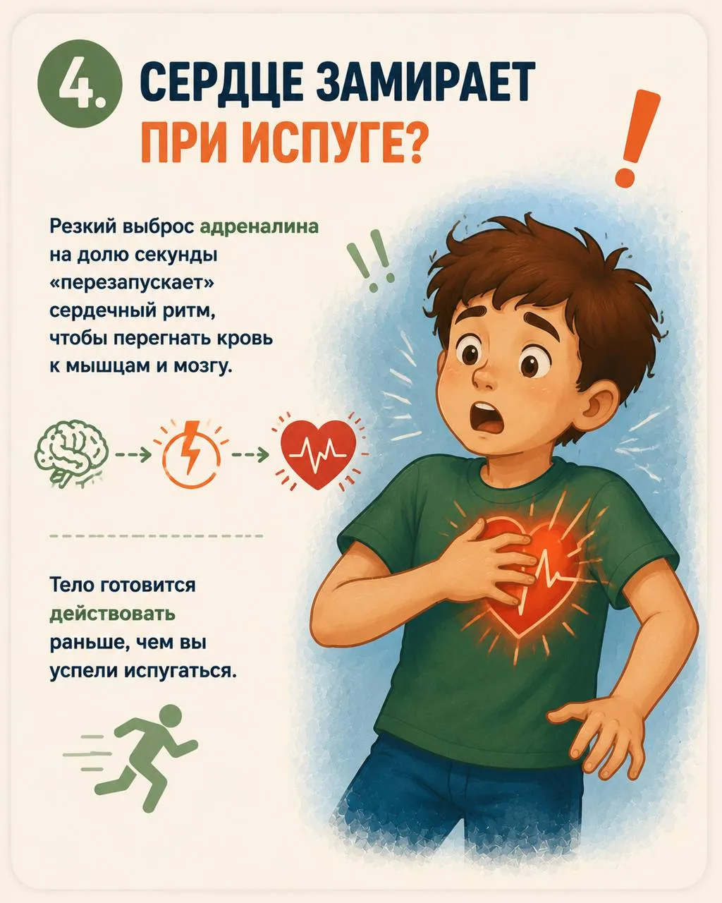 Тело никогда не делает ничего просто так.  Подёргивание при засыпании, мурашки от музыки, дрожь посл