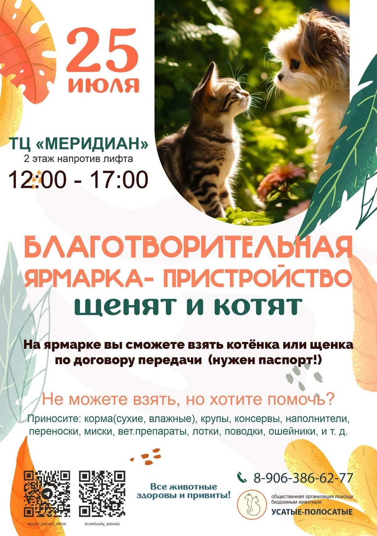🐾 НЕ ПРОПУСТИТЕ! УЖЕ ЗАВТРА! ЕЖЕНЕДЕЛЬНАЯ ВЫСТАВКА-ПРИСТРОЙ КОШЕК И КОТЯТ! 🐾