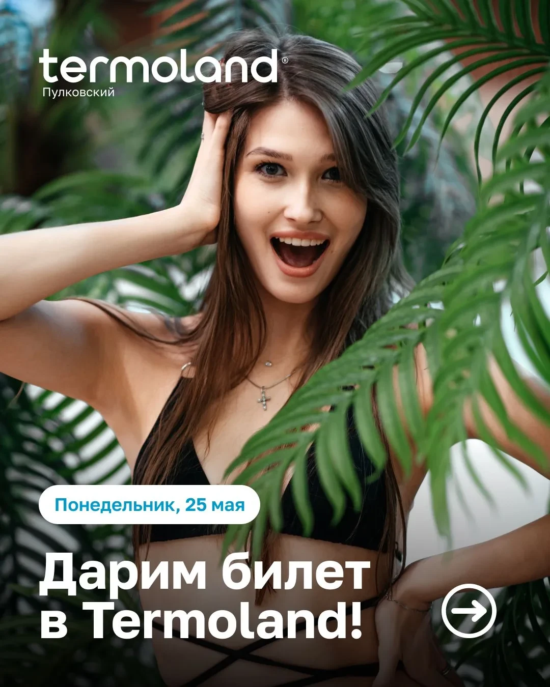 НЕДЕЛЯ ПОДАРКОВ В Termoland