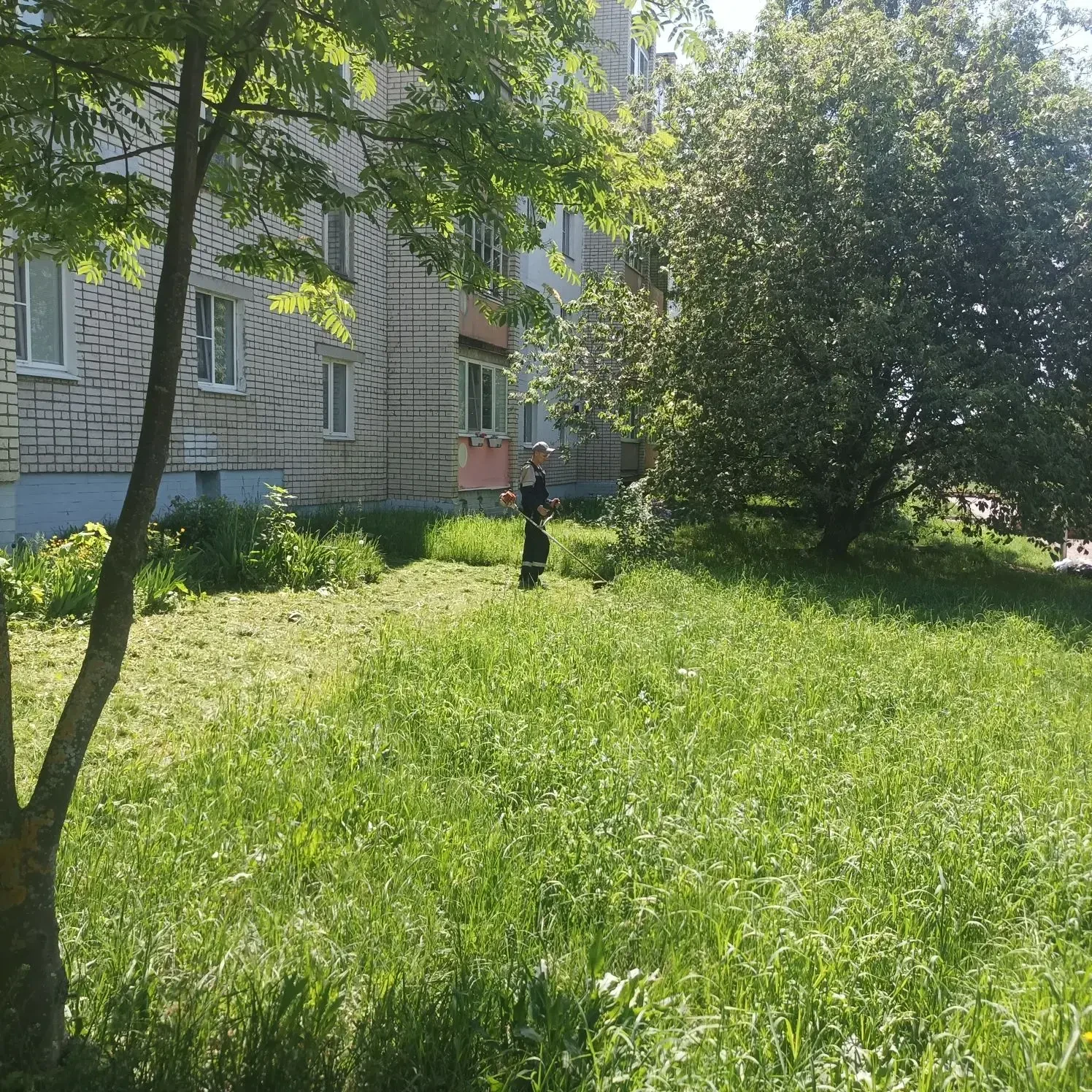 ✨ Хорошие новости! ✨