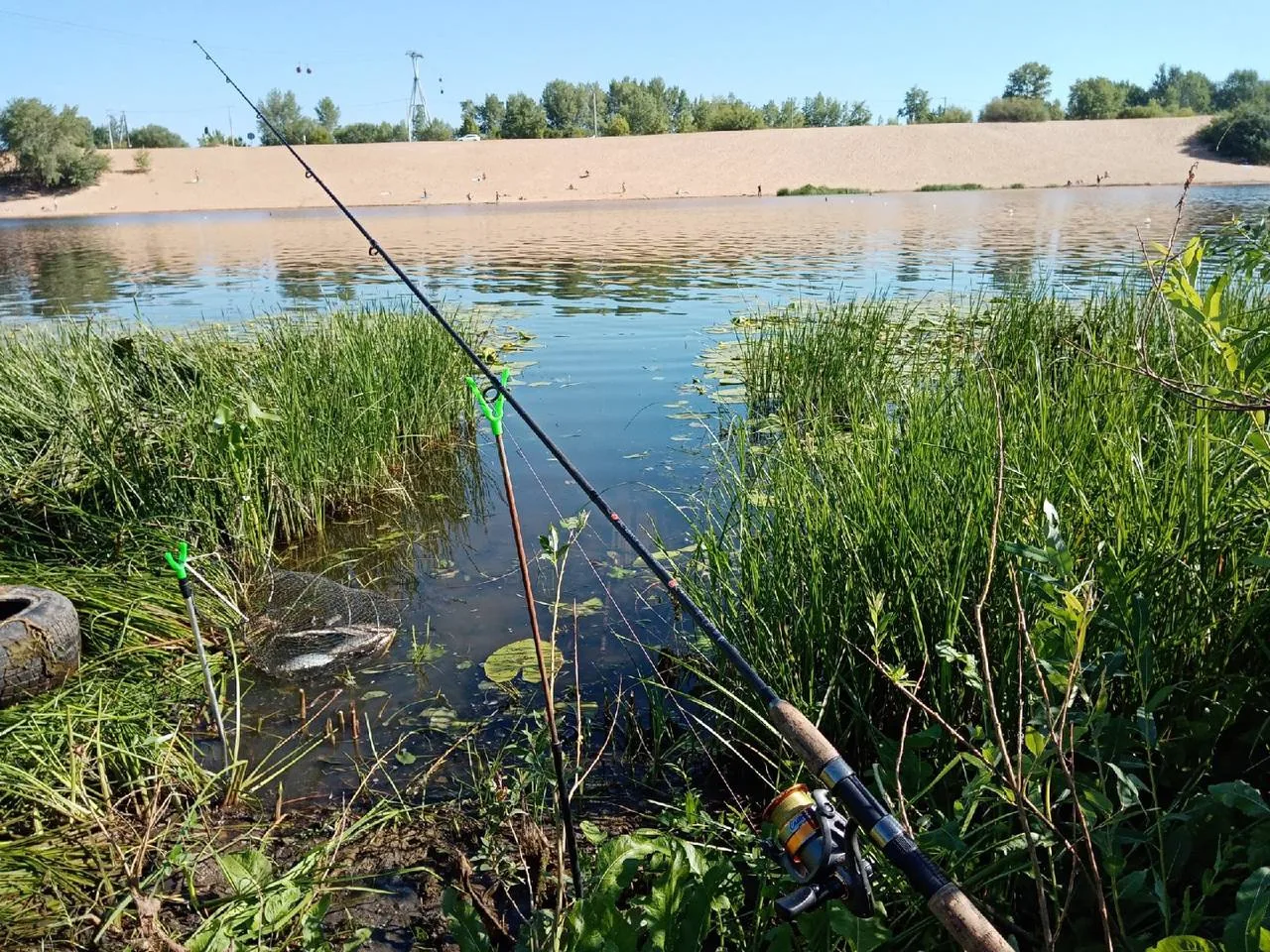 🎣 А у нас в Нижнем и области завершился нерестовый запрет. Сезон рыбалки официально от...