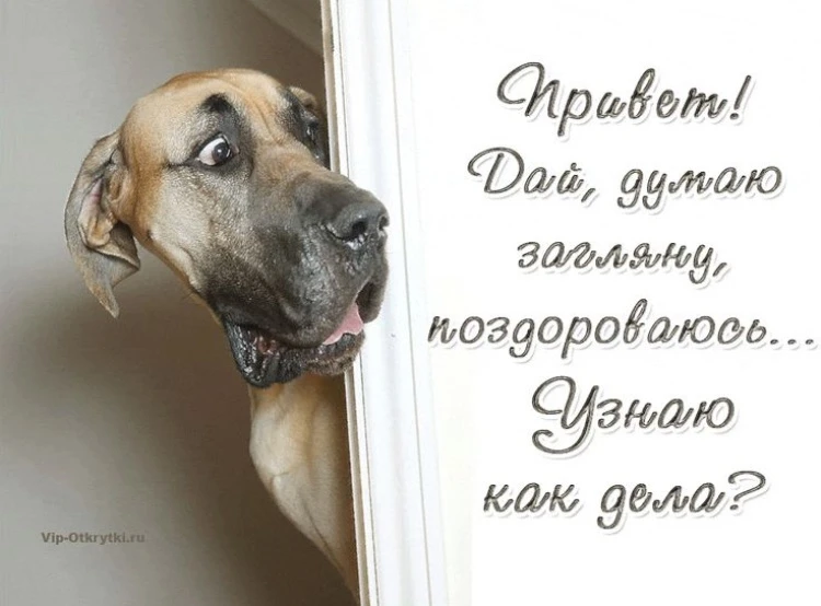 Друзья-первокурсники! Вы уже заметили, что колледж — это не школа, но кое-что важное ос...