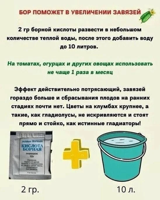 Изображение 1 к публикации «Моя любимая дача»