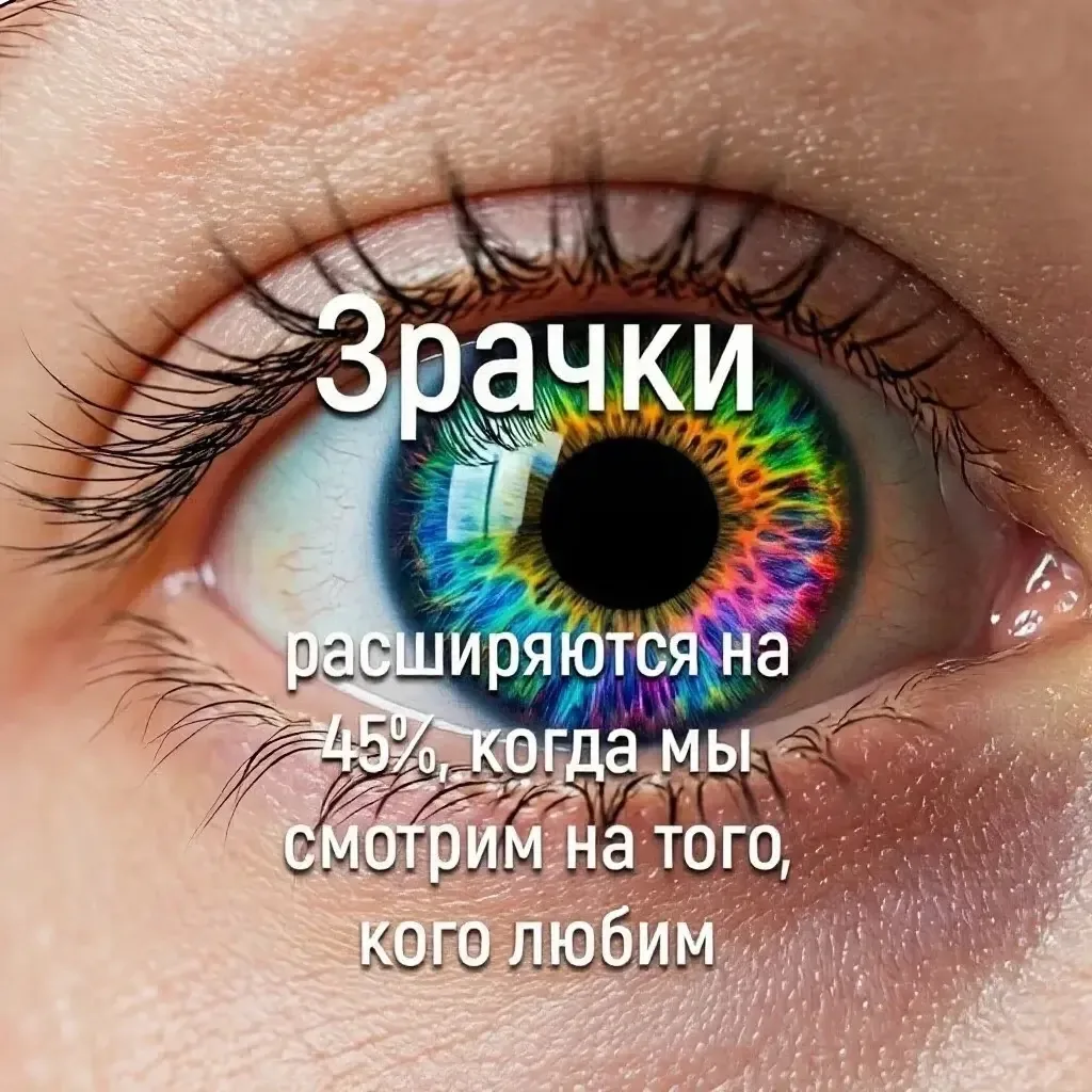 Изображение 1 к публикации «Сеты из магазинов»