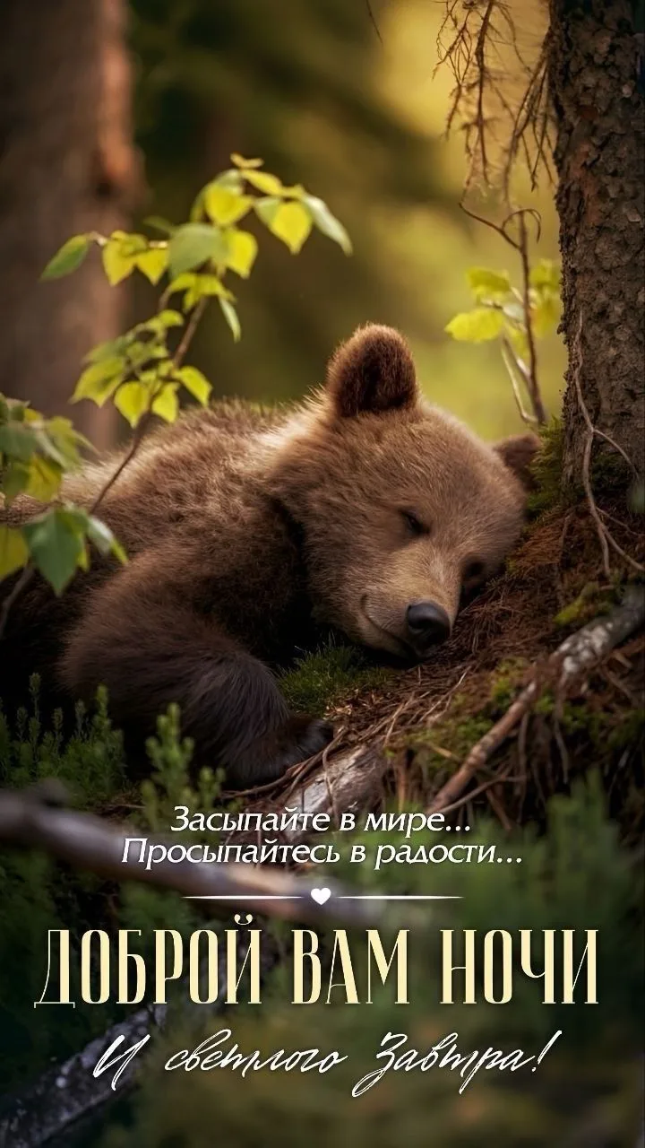 #ночь