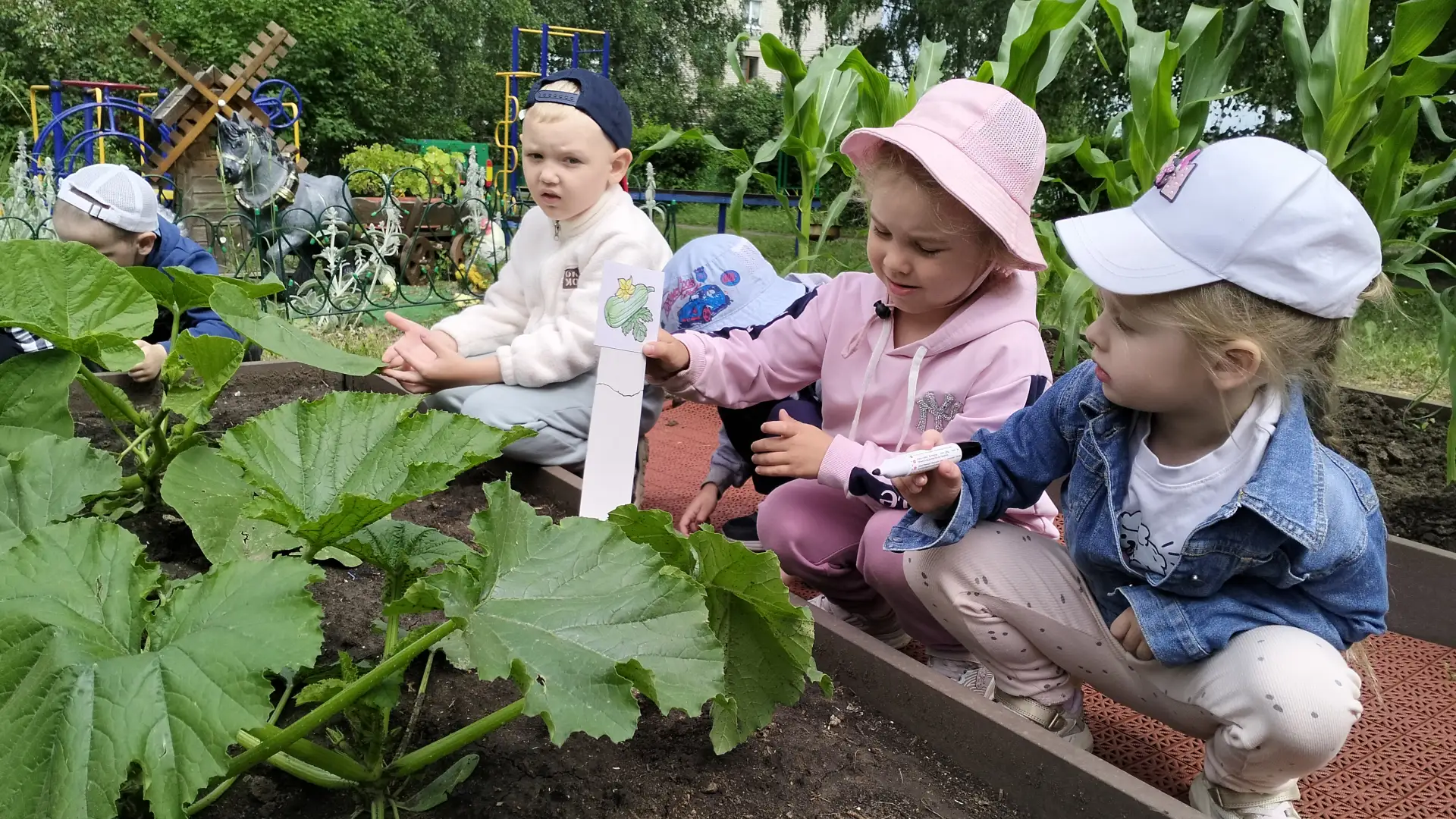 Отчего так много света?
Отчего вдруг так тепло?
Оттого, что это – лето
На все лето к нам пришло.

Ле