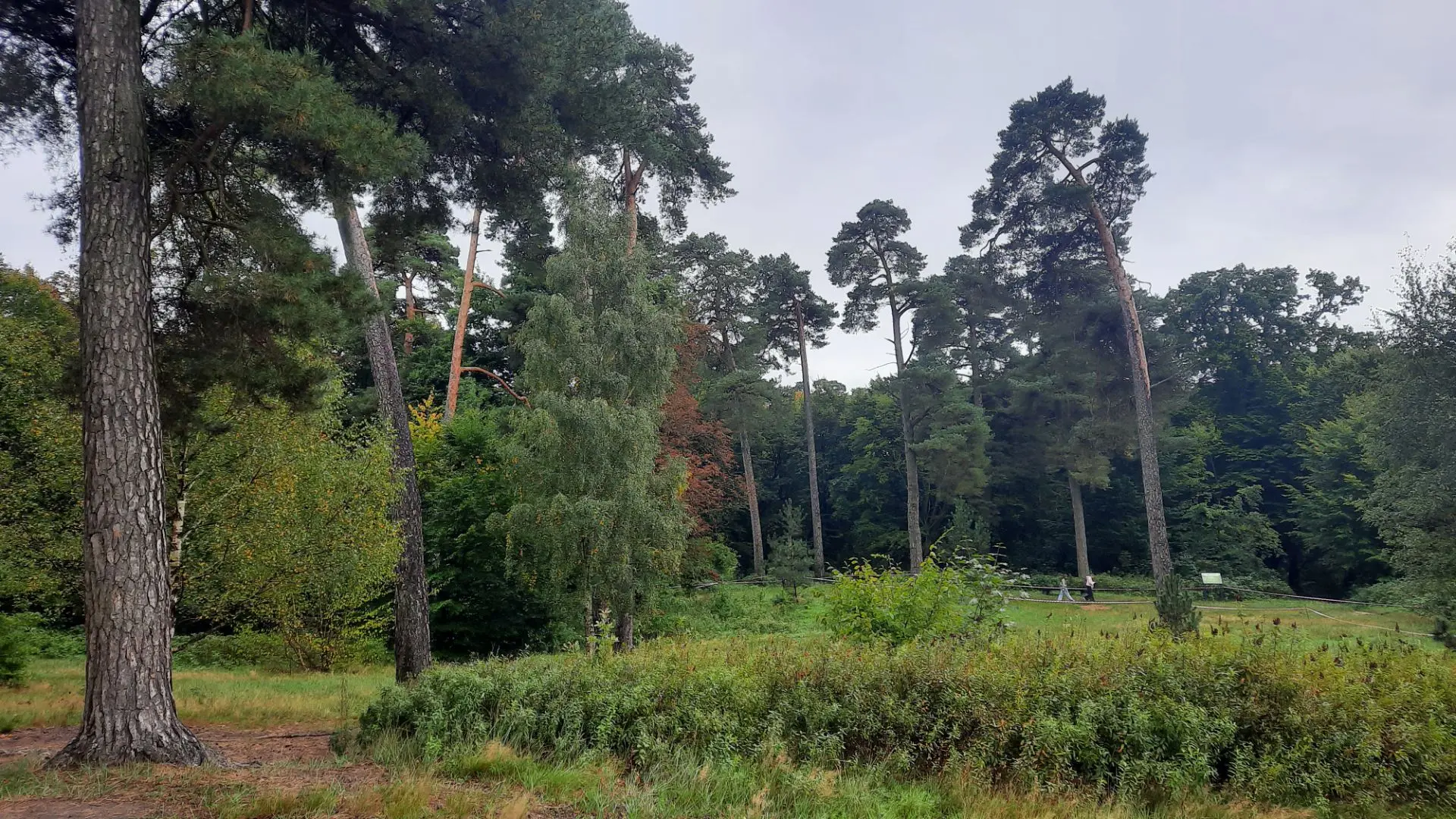 #Чемзанятьсявпарке в выходные? Рассказываем! 🌳