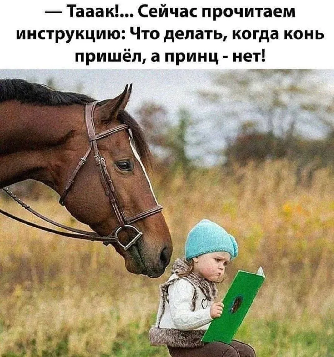 Женский юмор