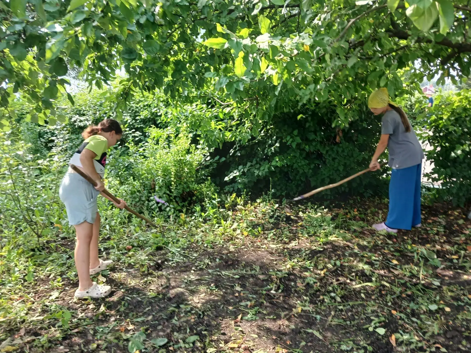 В школе продолжается летняя трудовая практика. ( отрабатка 4 класс)