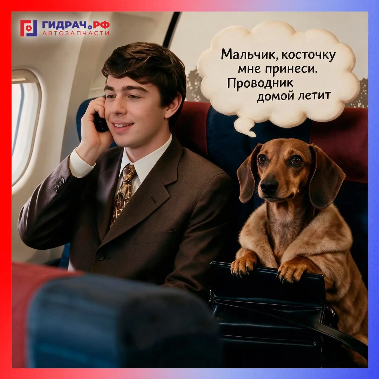 🐶Как перевозить Шариков и Барсиков в транспорте❓