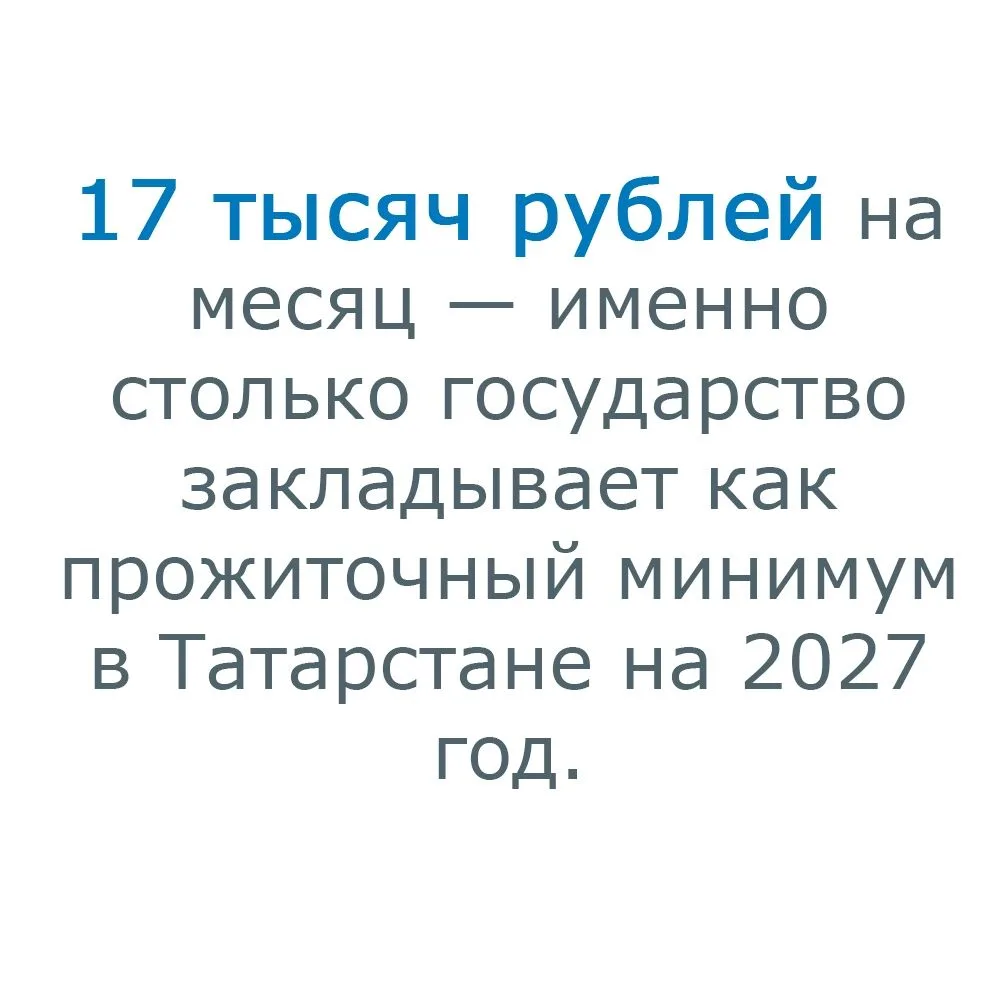 17 тысяч рублей на месяц — именно столько государство закладывает как прожиточный миним...