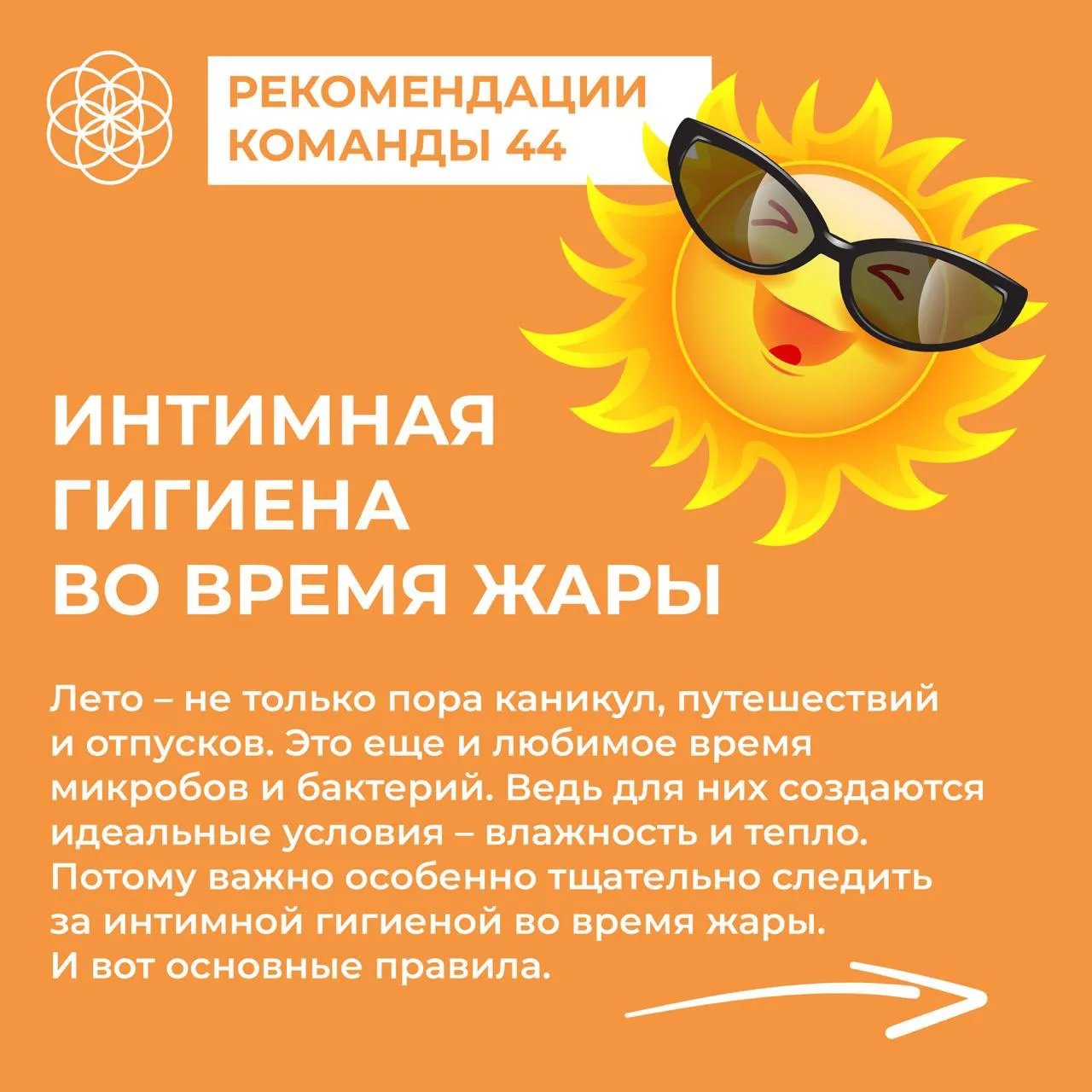 #команда44 рекомендует