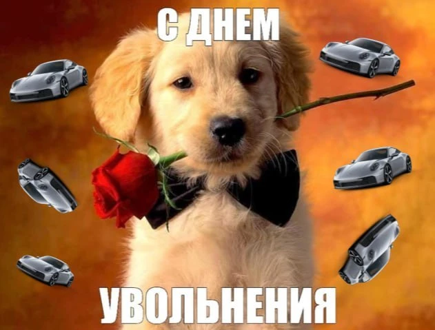 Производитель спортивных автомобилей и внедорожников Porsche сократит ещё 5 тыс. рабочих мест в реги