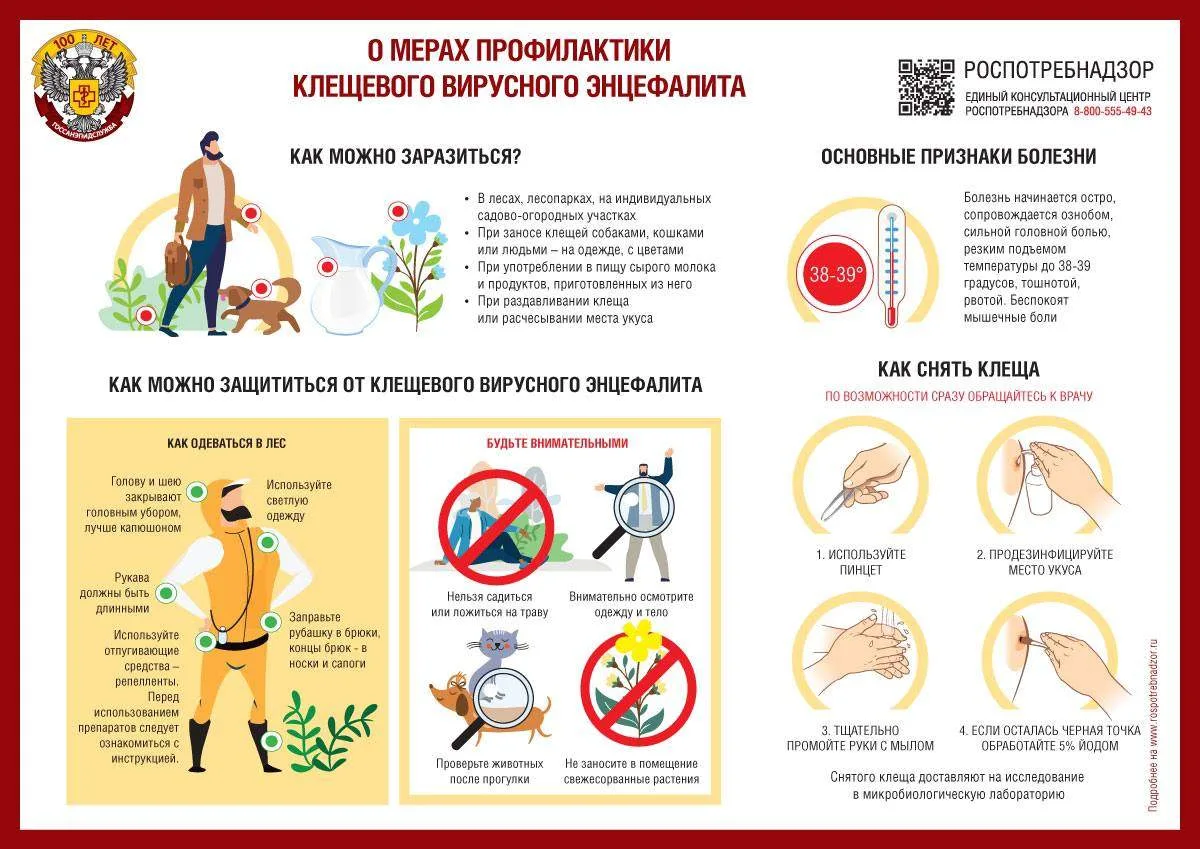 Роспотребнадзор напоминает о мерах профилактики клещевого вирусного энцефалита👆

Более 3700 жителей