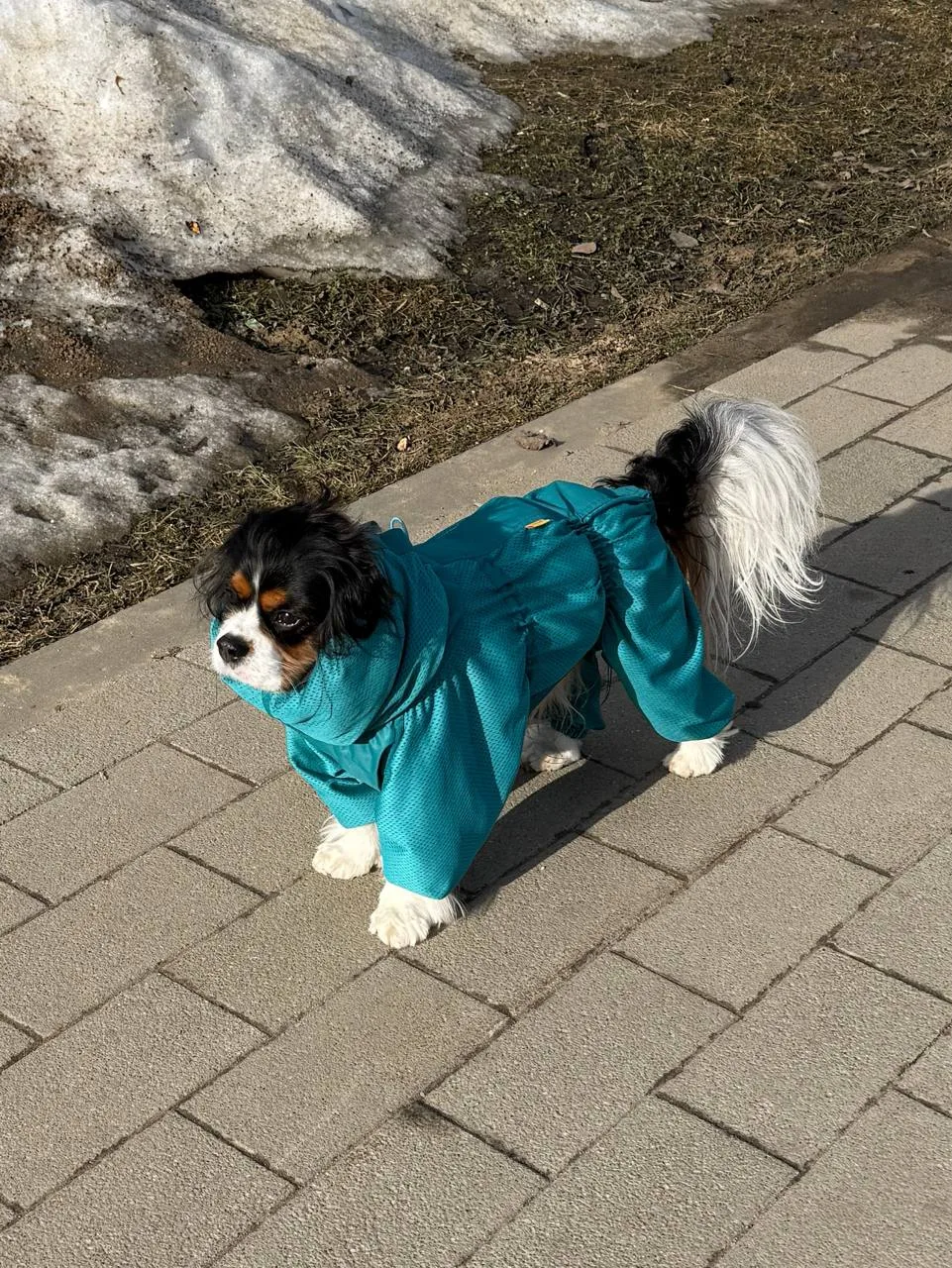 Всем доброе воскресное утро! 🤗
