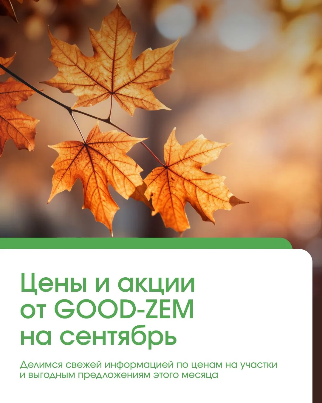 🎉 GOOD-ZEM — 12 лет!