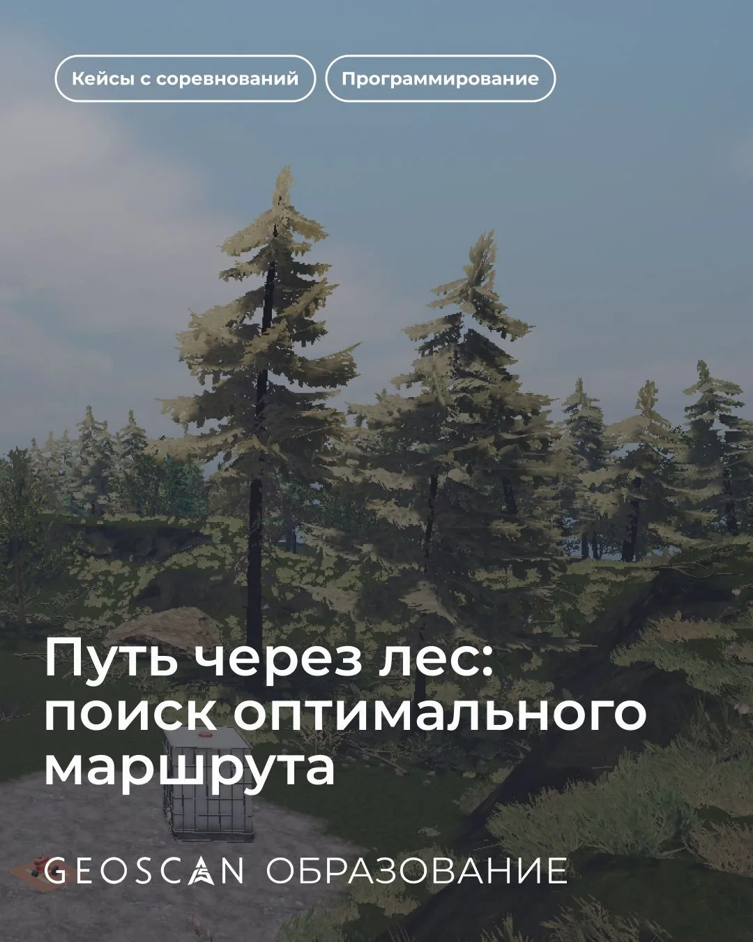 Поиск дороги через лес, когда вместо карт и компаса — коптер и робот 🌳