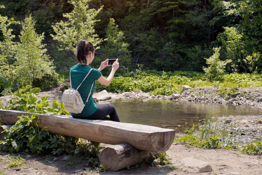 🔎 #КурортнаяРазведка

📍 Сочи

🌳 Для любителей прогулок по природным достопримечательностям появил