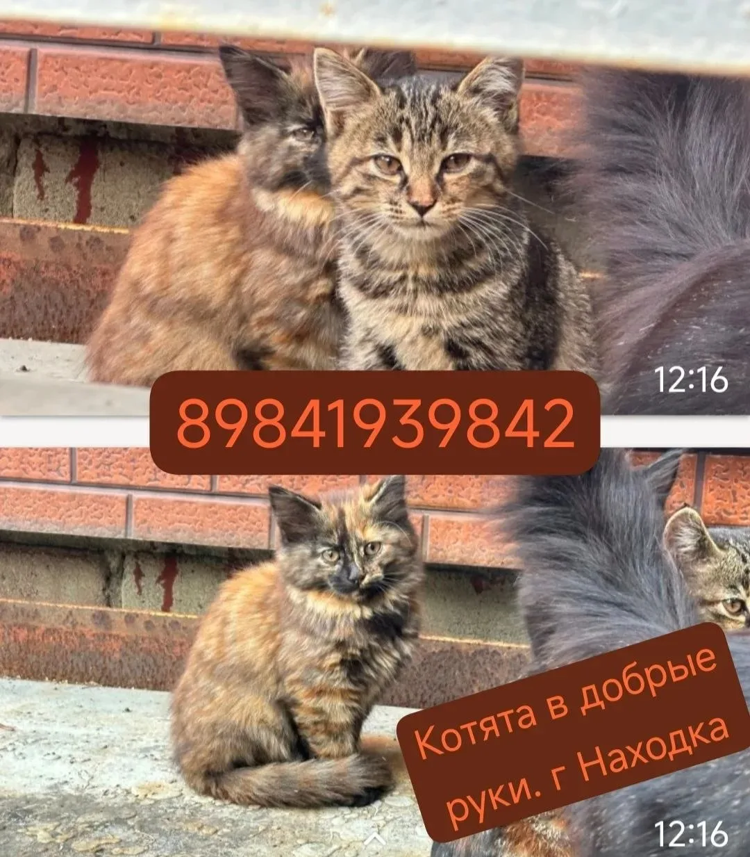 г. НАХОДКА