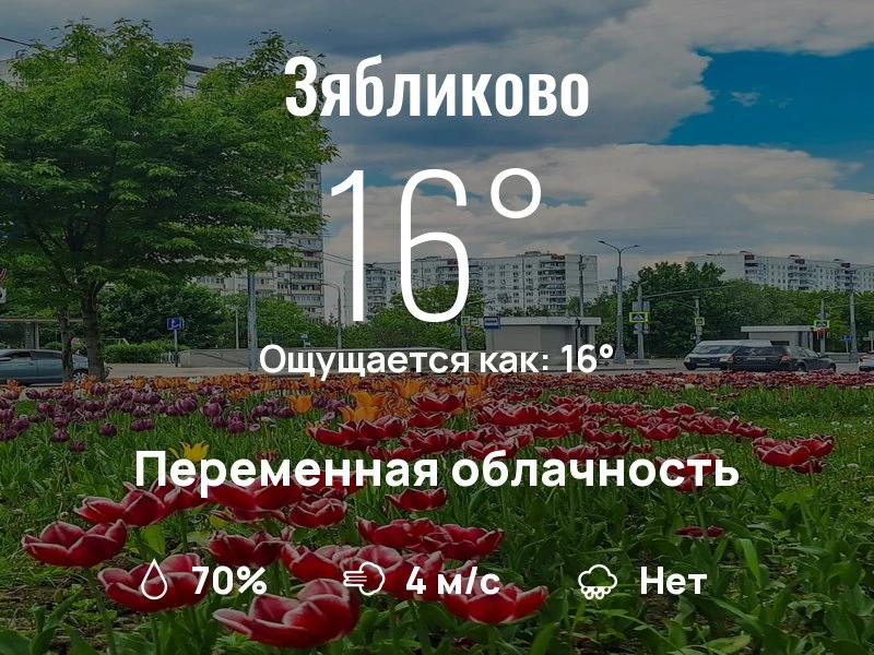 Что с погодой в Зябликово?