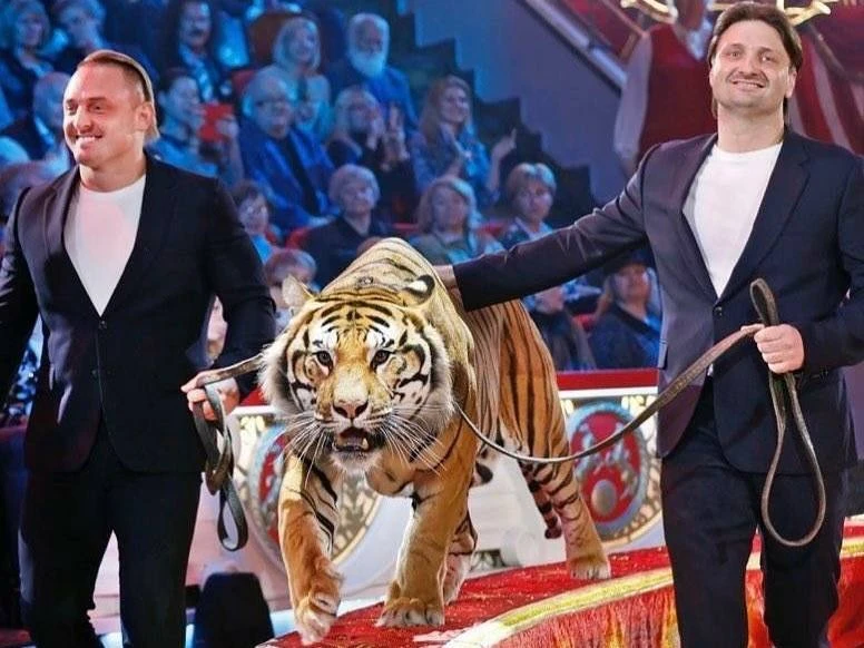 Смотрим открытые тренировки с Запашными