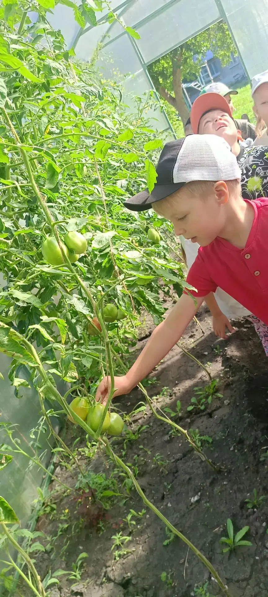 🍅🍆Яркая витаминная неделя выдалась у ребят группы "Анютины глазки".