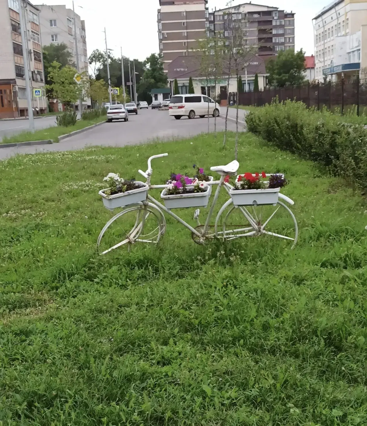 Доброе утро, Черкесск! 🌞