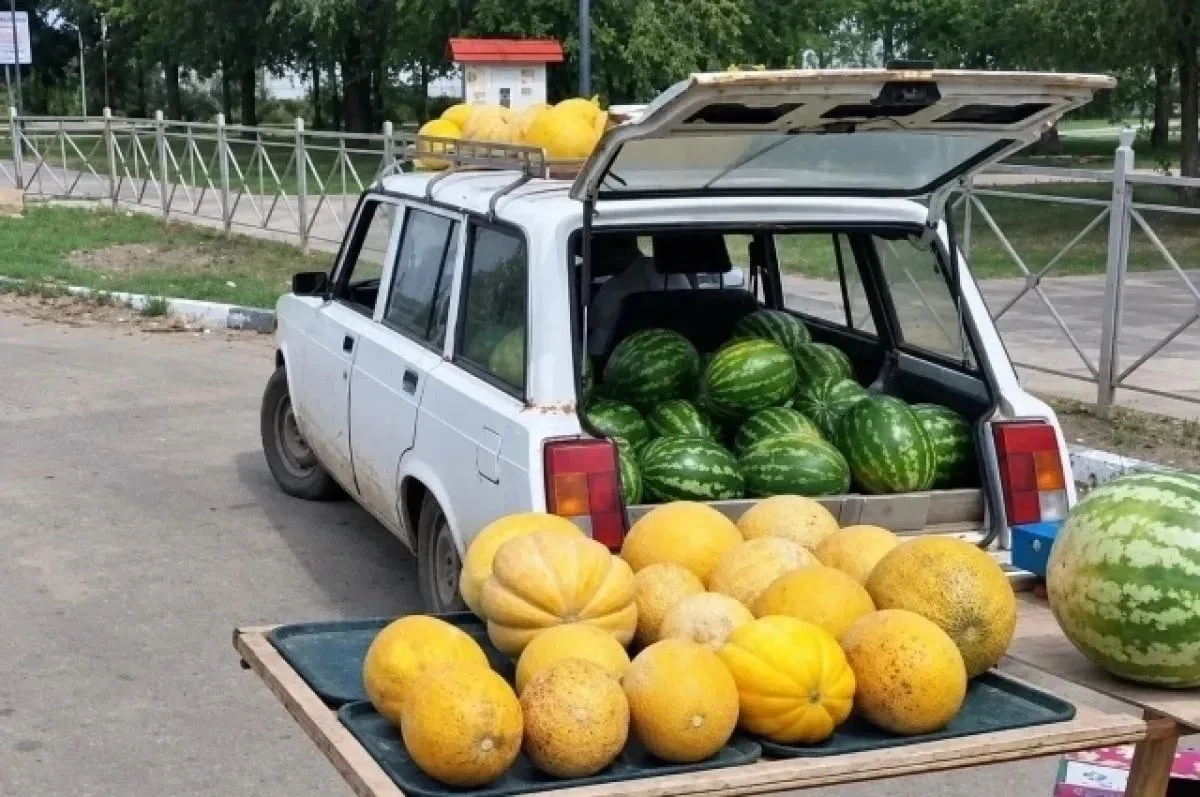⚖️В Астрахани упорная торговка арбузами накопила 36 тысяч рублей штрафов
