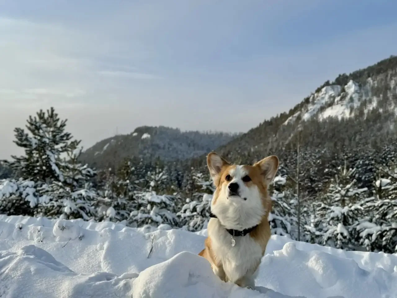 Остин. 
Якутия.
Пеледуй. ❤️

Рубрика ; от подписчиков