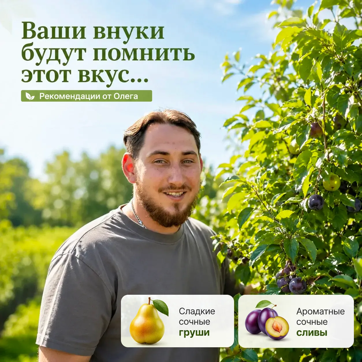 Ваши внуки будут помнить этот вкус…

Сегодня пришёл к вам с конкретной рекомендацией по плодовым 🌳
