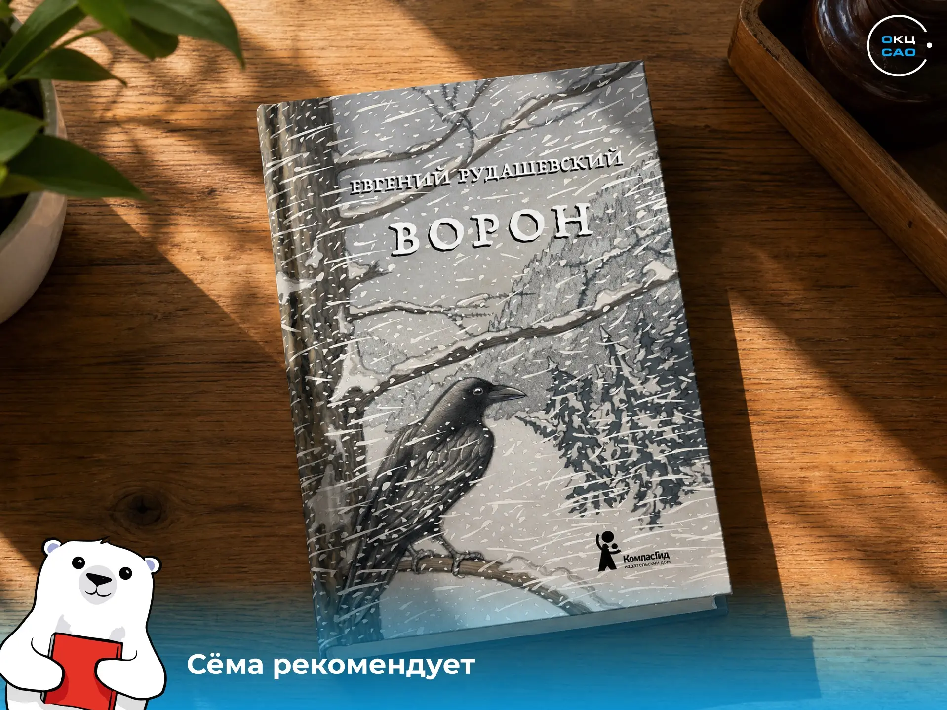 Книга дня: «Ворон» 📚