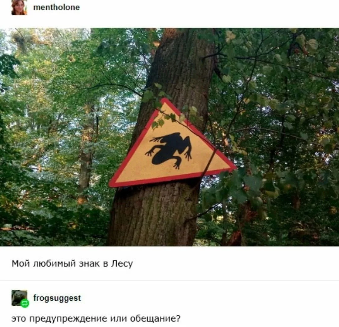 любим лягушек и жабок