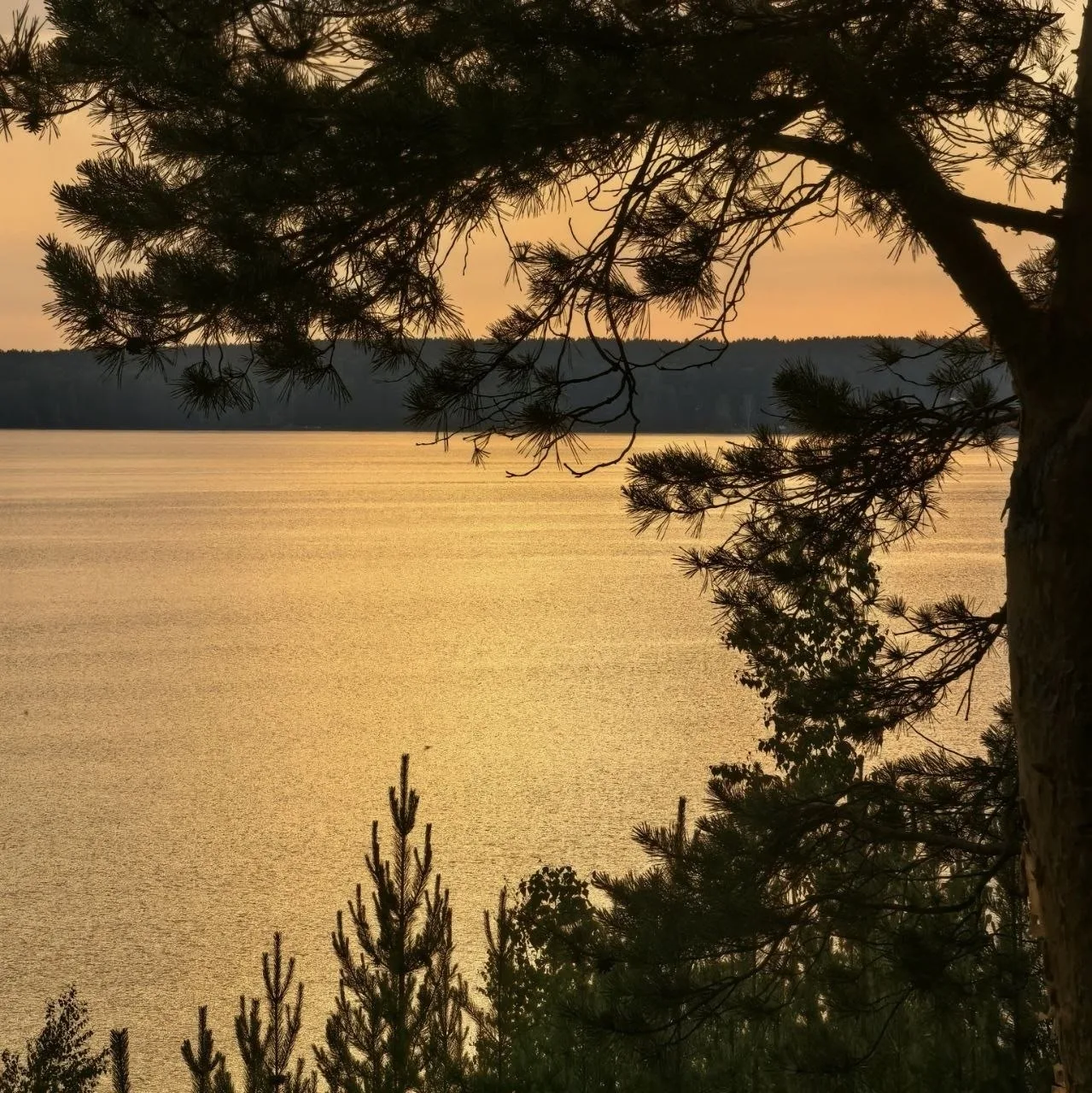 Закат в Заречном 🌅

Фото: Игорь Челак