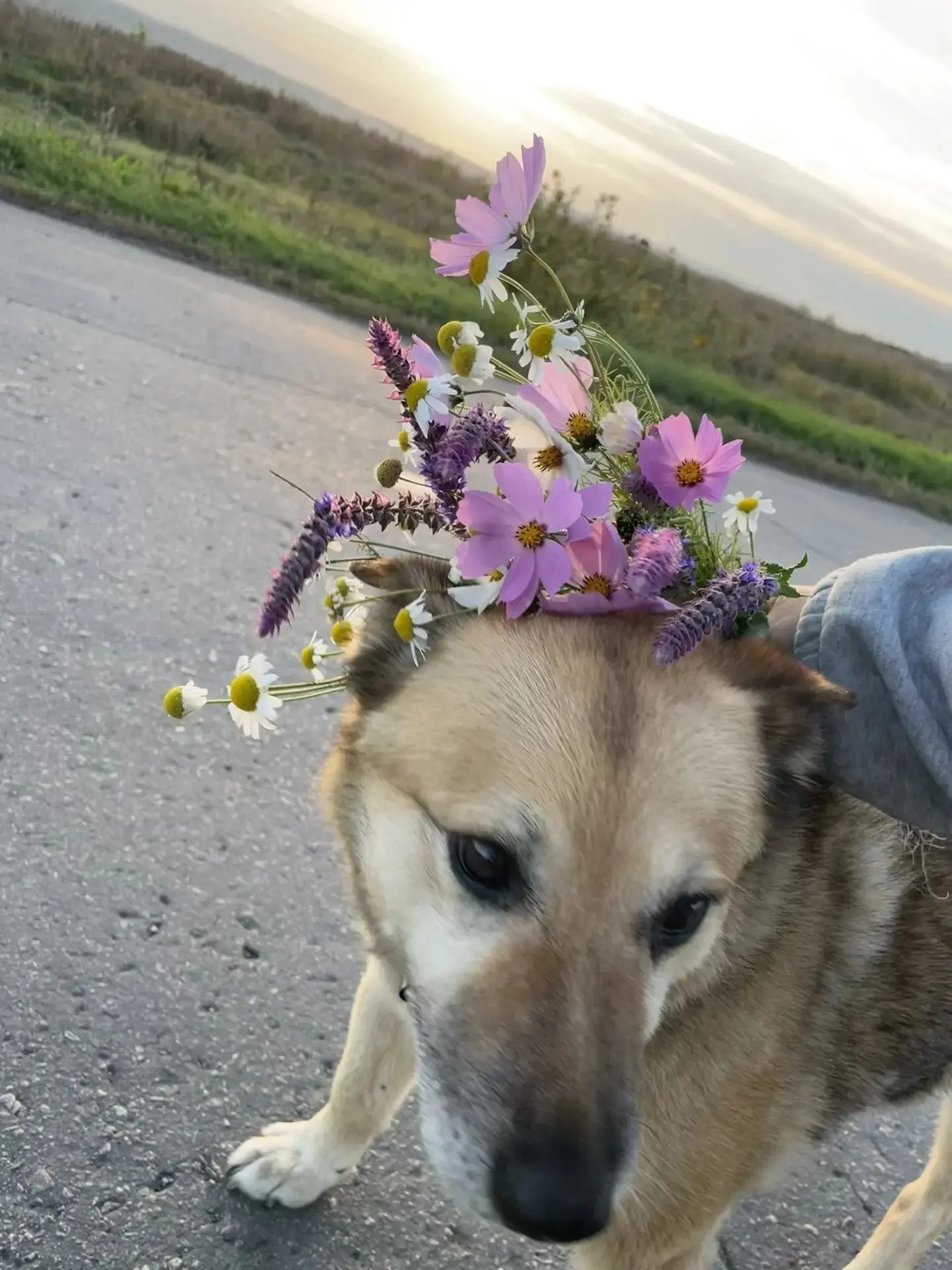 Доброй ночи, Ульяновск! ❤️