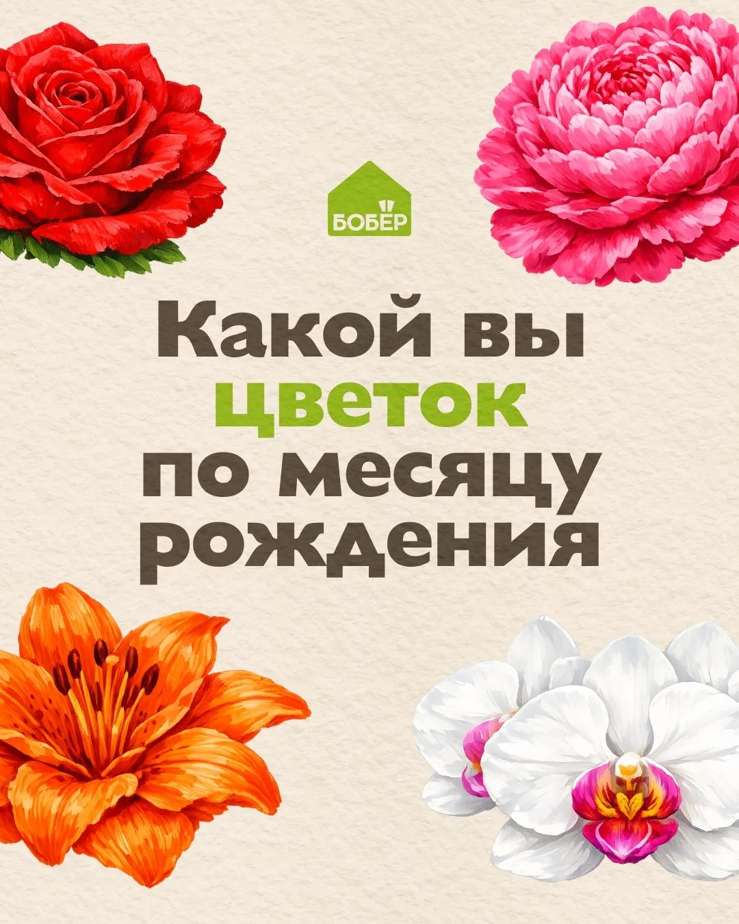 21 июня отмечается День цветка! В честь этого праздника мы подготовили небольшой подарок 💚

Наши ка