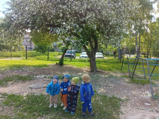 Ребёнок в мире природы 🌱