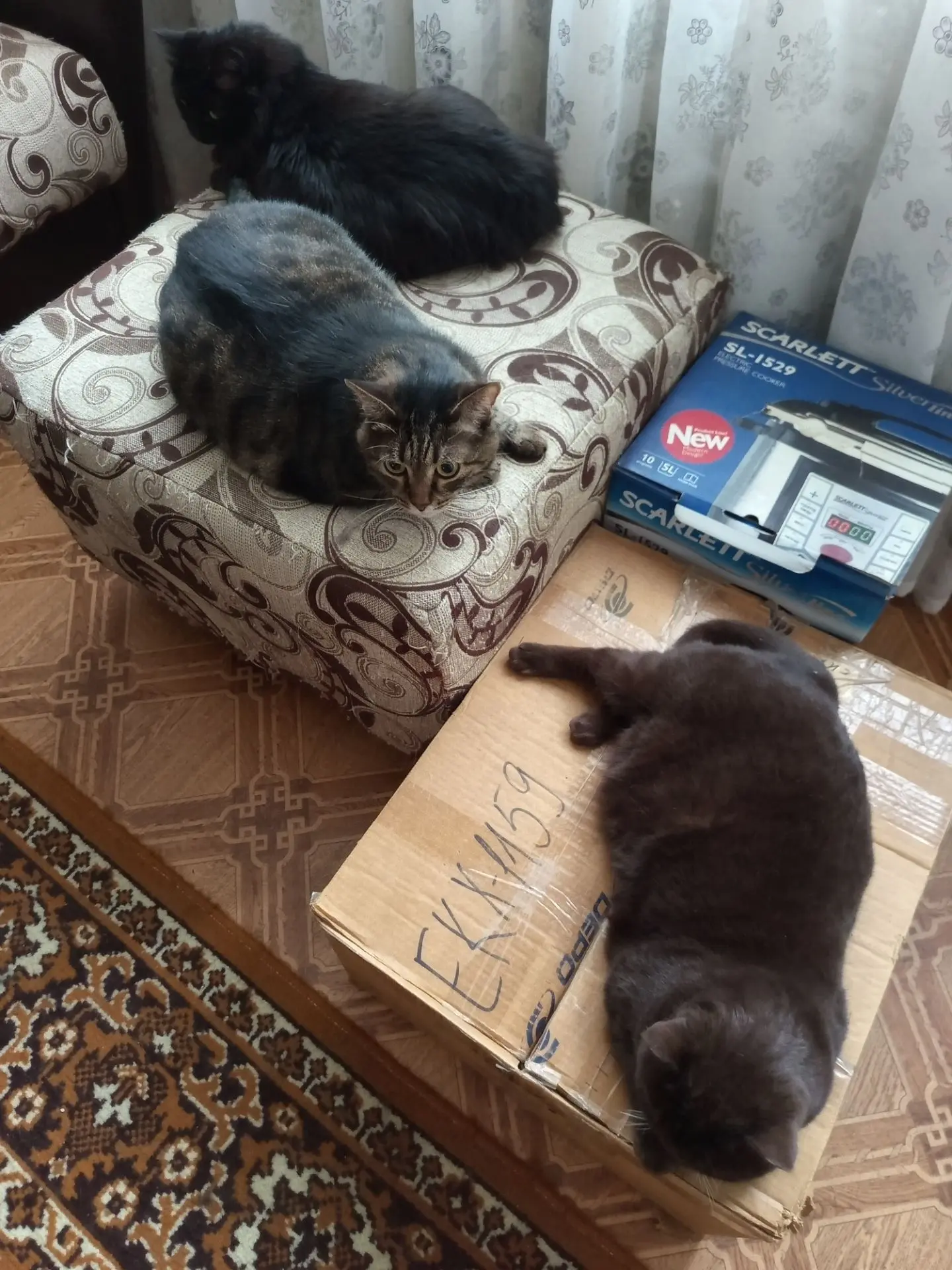 Мои колбаски лежат😁
