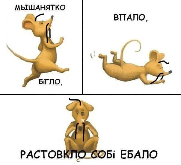 Добросранку переможьчувачи