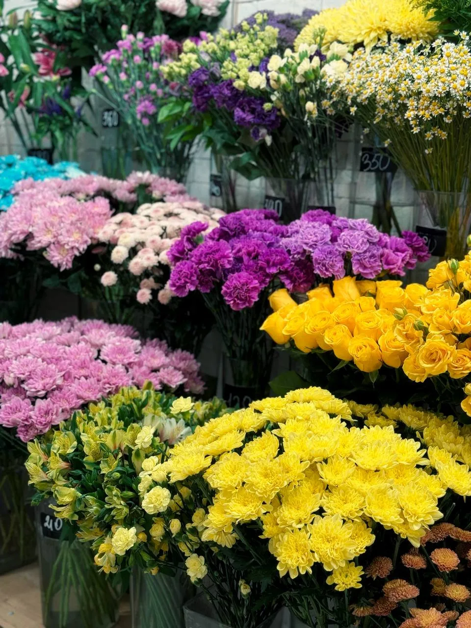 Витрина Малышева 64 влюбляет с первого взгляда 😍

Прекрасно понимаем покупателей, которым тяжело оп