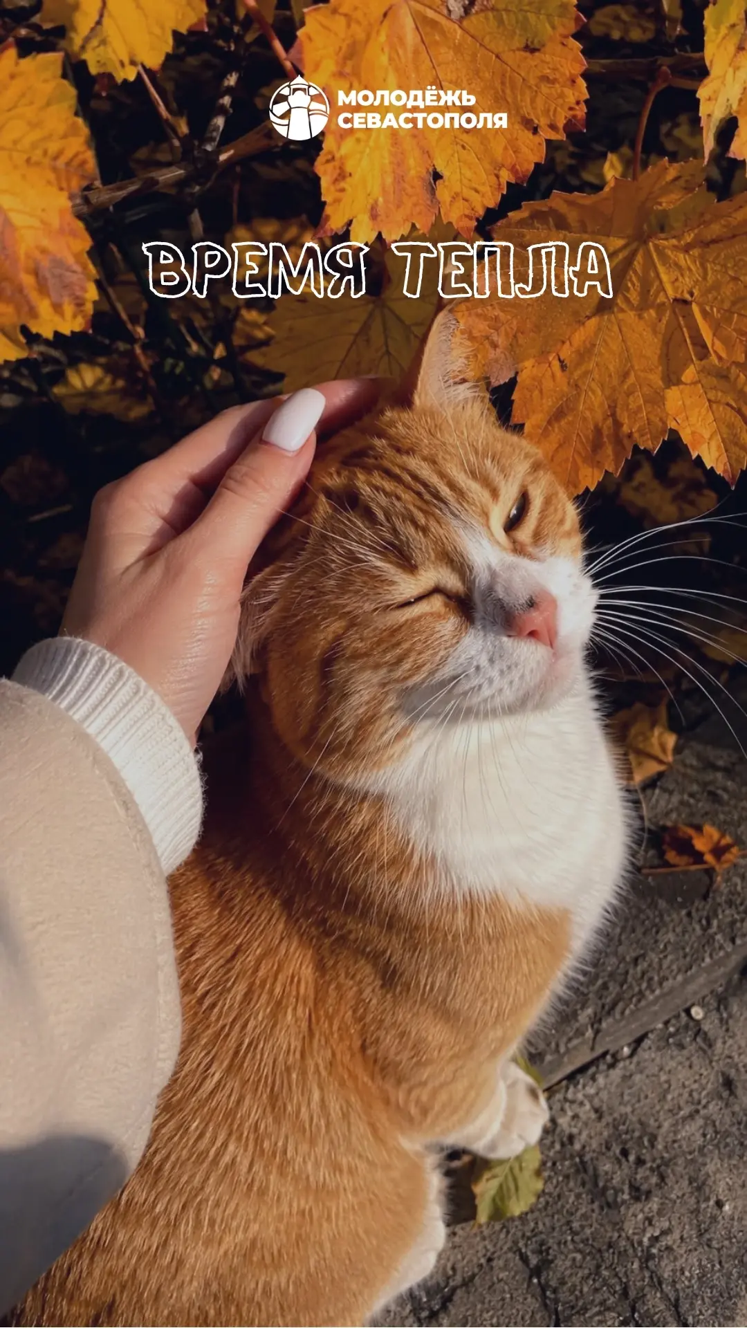 🍁 Осень — это…