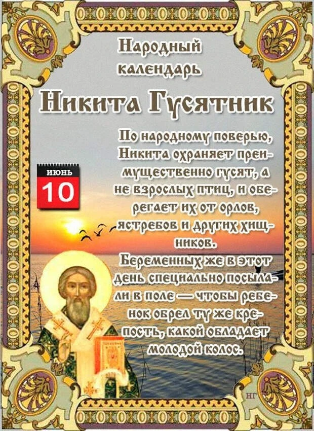 ❤️Дарим эмоции по МАКСимуму✨

🔹Никита Гусятник — день, когда наблюдали за гусями и утками. Если пти