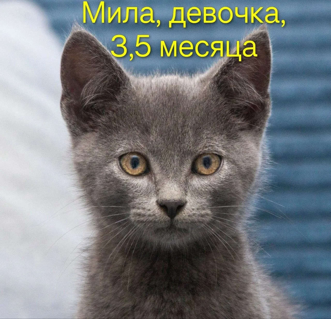 Помогаю информационно♦️