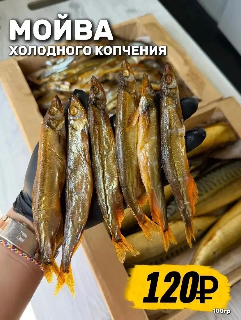 🐟 КОПЧЁНОЙ РЫБКИ МНОГО НЕ БЫВАЕТ