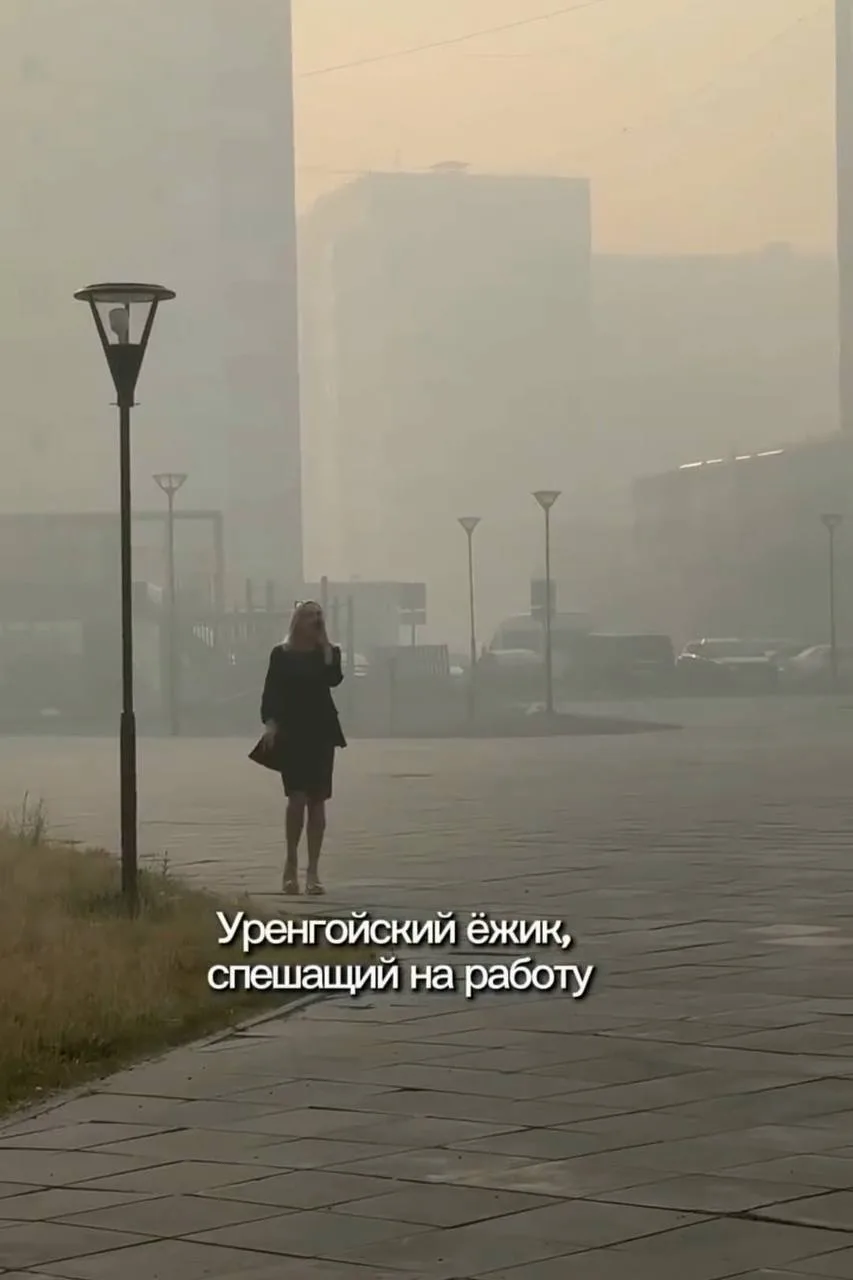 😷 В Новом Уренгое зафиксировали жалобы горожан на качество воздуха. В социальных сетях...