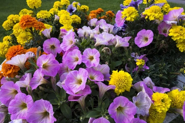 КАЛЕНДАРЬ 🌷
Биодинамический календарь по уходу за растениями 
на 22 июля

Неблагоприятный день для: