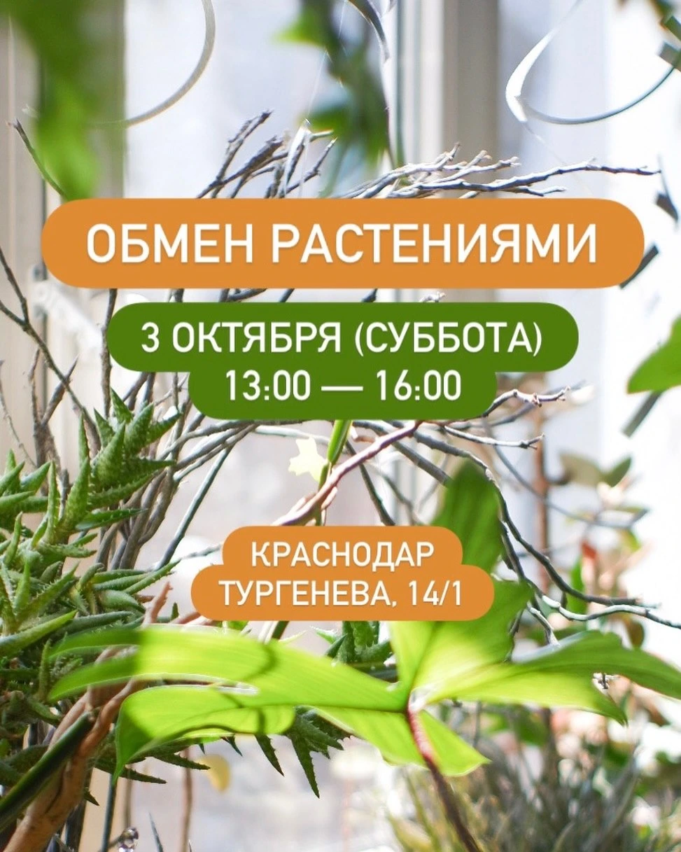 ОБМЕН РАСТЕНИЯМИ