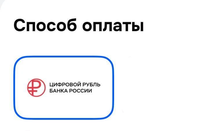 🪙 Wildberries, Ozon и «Яндекс Маркет» запустили  оплату цифровыми рублями — опция дост...